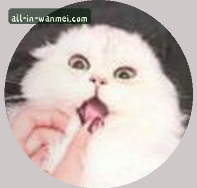吴琳